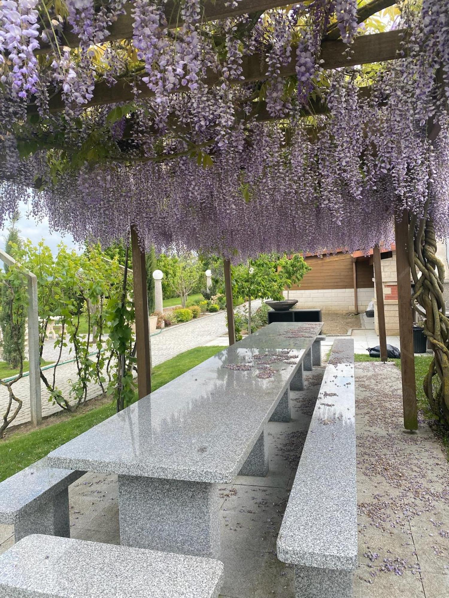 德萨布隆别墅公寓 Châtillon-sur-Marne 外观 照片